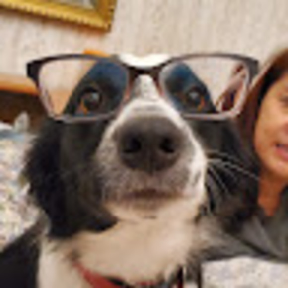 Meet your Posher, Aiko - Picture 1 of 1